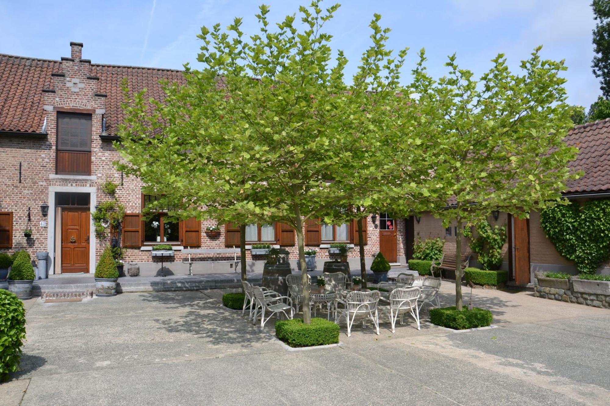 B&B Hof Te Spieringen Vollezele Екстер'єр фото